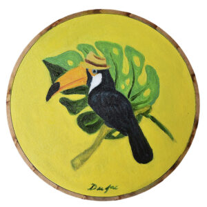 Tucano Gervásio