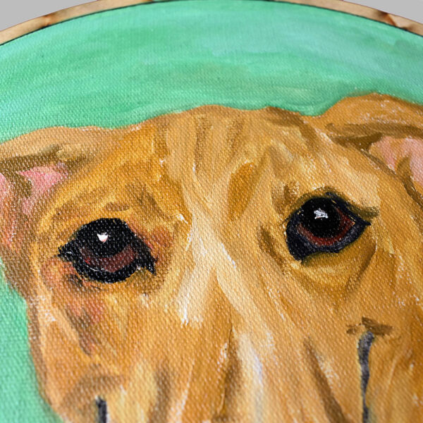 Zezinho - Image 6