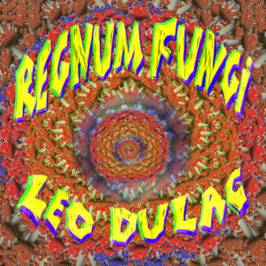 Regnum Fungi