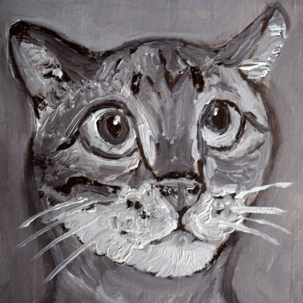 Maurício - Image 2