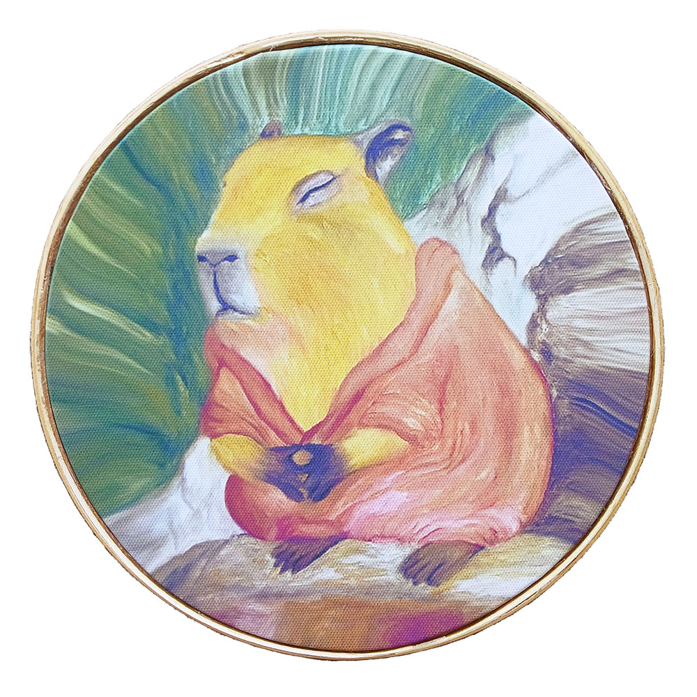 Capivara zen
