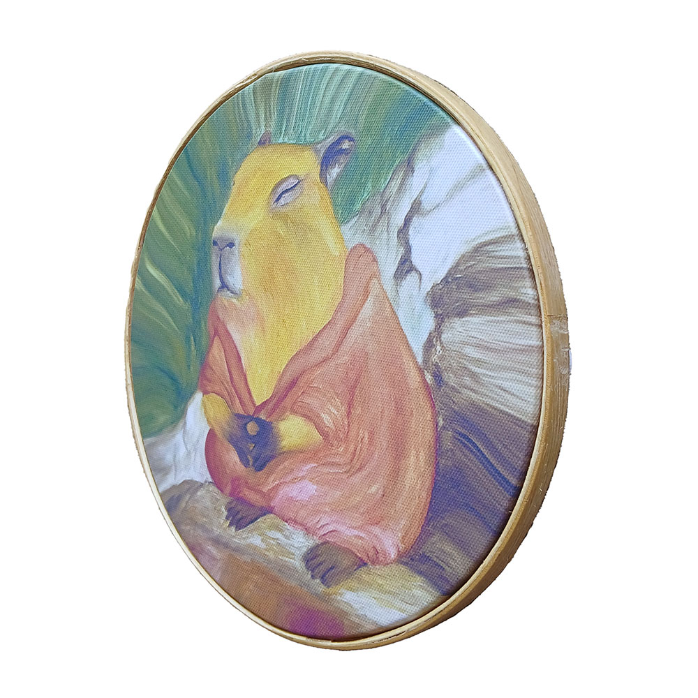 Capivara zen - Imagem 3