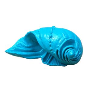 Concha turquesa