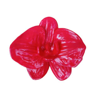Orquídea vermelha