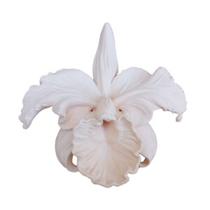 Orquídea off-white