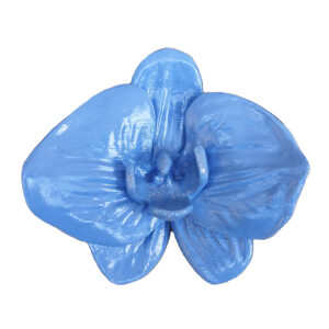 Orquídea azul
