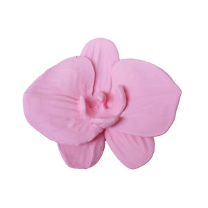 Orquídea rosa