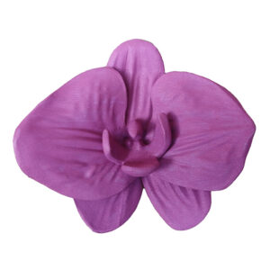 Orquídea roxa
