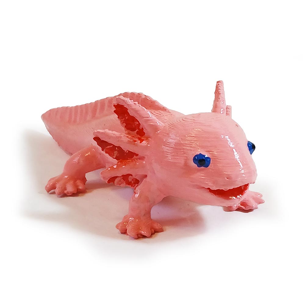 Axolote