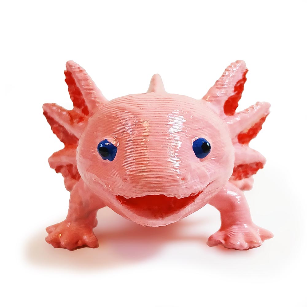 Axolote - Imagem 2