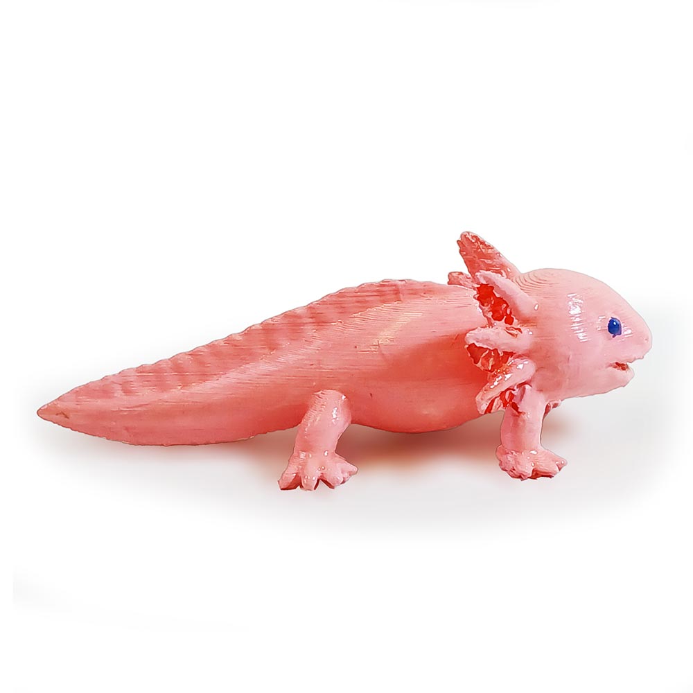 Axolote - Imagem 3