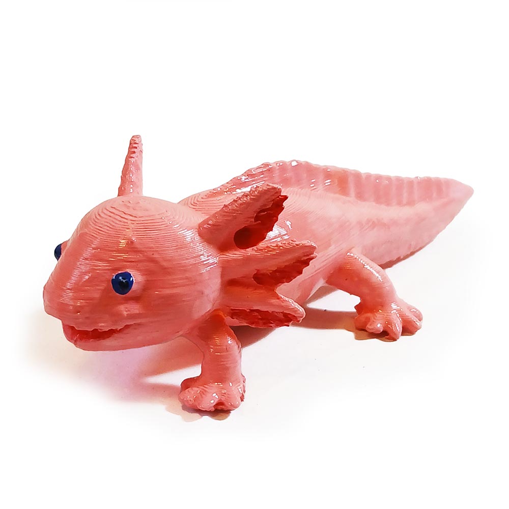 Axolote - Imagem 4
