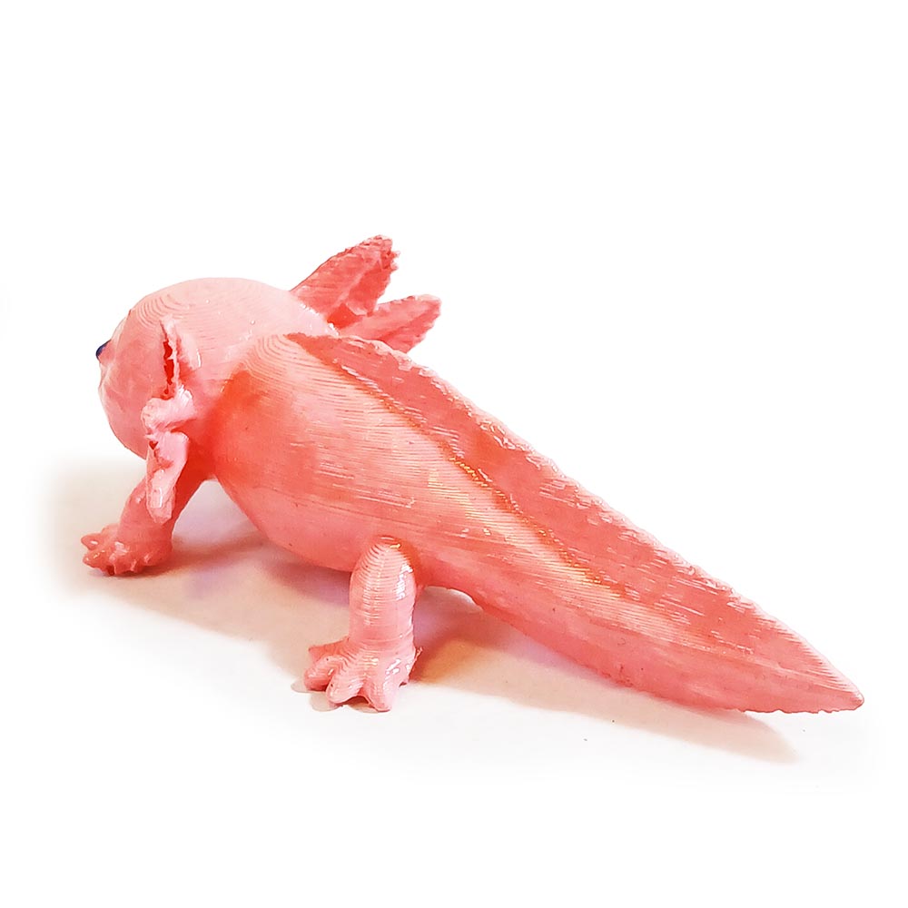 Axolote - Imagem 5